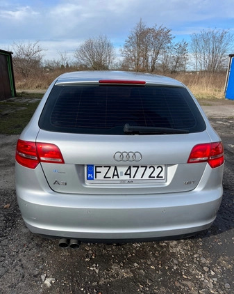 Audi A3 cena 26600 przebieg: 200000, rok produkcji 2008 z Żary małe 29